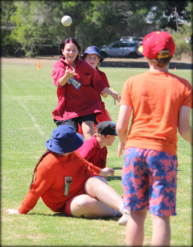 /uploaded_files/media/gallery/1746343579493260697_1251638156964643_460240694644859206_n (1).jpg